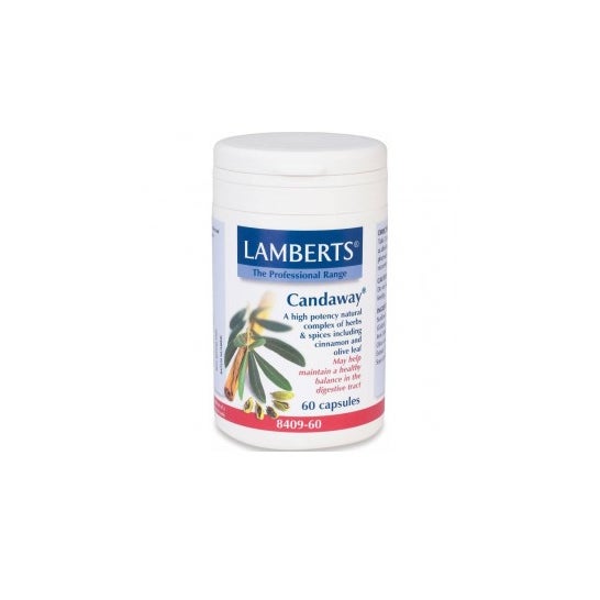 Candaway de Lamberts 60 boné