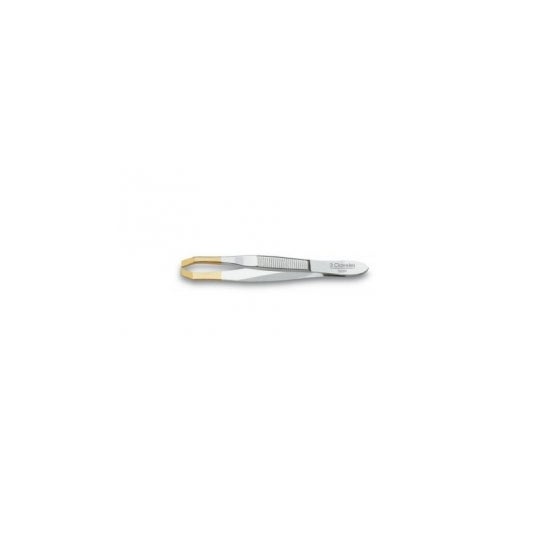 3 Claveles garra de caranguejo 8cm 1ud