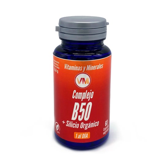 Ynsadiet Vitamina B50 +Silicon 60Cap