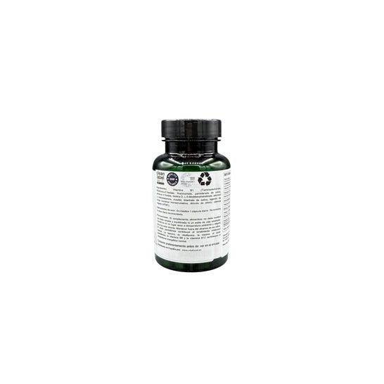 CocoHagen Mini Trufa Baunilha 25x20 g