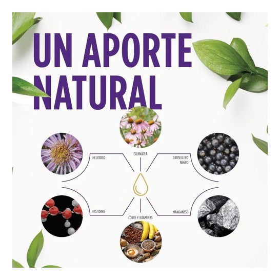 Sol de Oro Plus 250ml Sol de Oro Plus 250ml