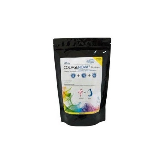 Vaminter Colágeno Marinho + Hyal + Mg 590g