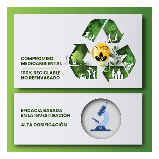 Phytofarma Magnésio Bisglicinato 300 Caps