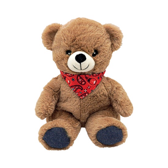 Plic Bolsa Térmica Peluche Teddie 150 gr 1 Unidade