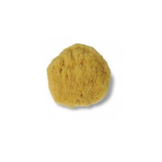 Esponja natural gigante de Acofar 1ud