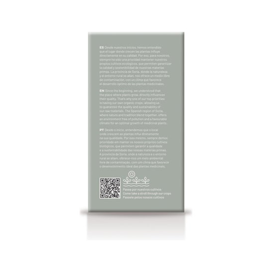 Soria Natural Regamint infusão 20 filtros