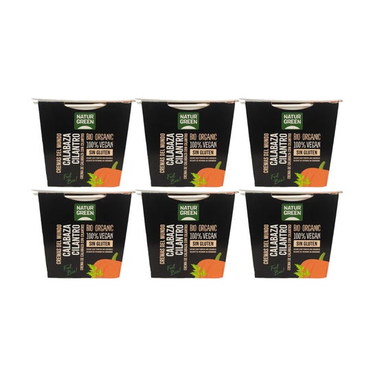 NaturGreen Pack Creme de Abóbora e Coentros Bio 6x310g