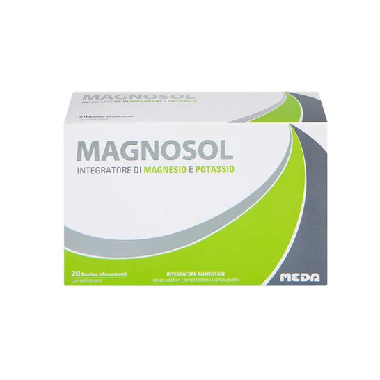 Magnosol 20 Sachês Efervescentes