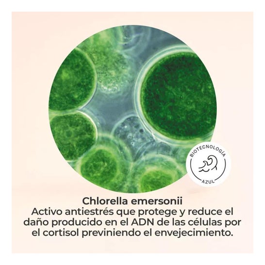 Segle Clinical Vital C Day Night Serum 30ml Segle Clinical Vital C Day Night Serum 30ml