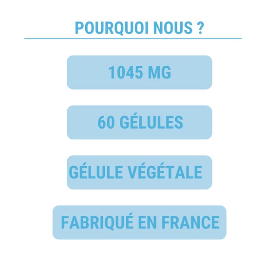 Enova Elements Glucosamine + Chondroïtine 60 Gélules