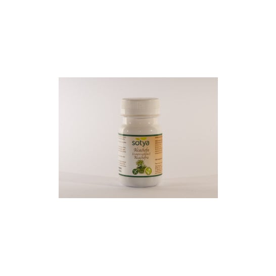 Sotya Alcachofra 100comp