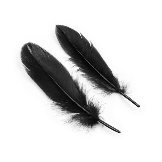 Crushious Kit Lover's Dream Preto