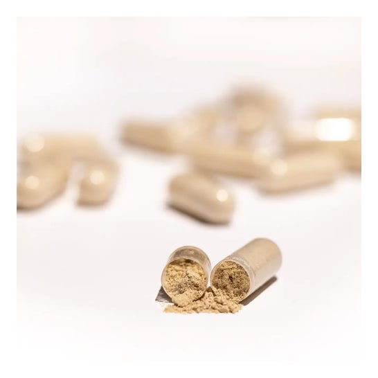 HSN Vitamina C 500mg + Bioflavonoides Cítricos 120vcaps