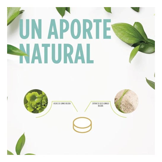 Eladiet Ginkoro 90comp Eladiet Ginkoro 90comp