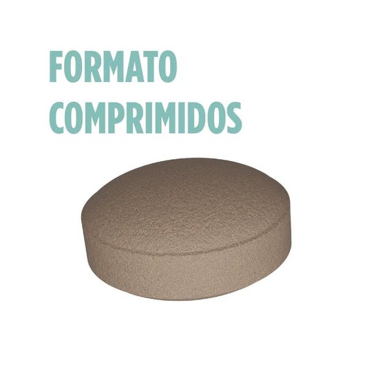 Eladiet Ginkoro 90comp Eladiet Ginkoro 90comp