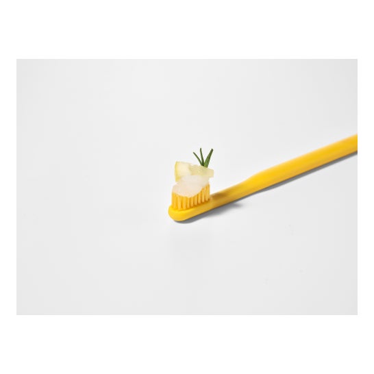 Toosty Lemon Sorbet Toothpaste 25g