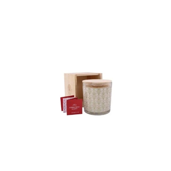 Cerabella Vela em Copo Xscent22 Moss Patchouli 1 unid.