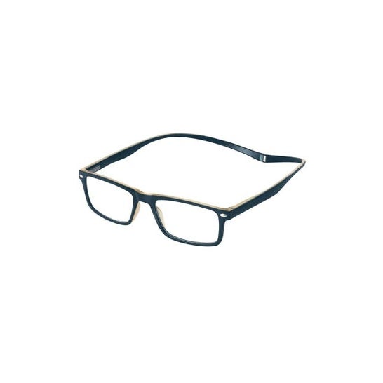 Horizane Fidelia Blue D2.0 Óculos de Ampliação 1ut