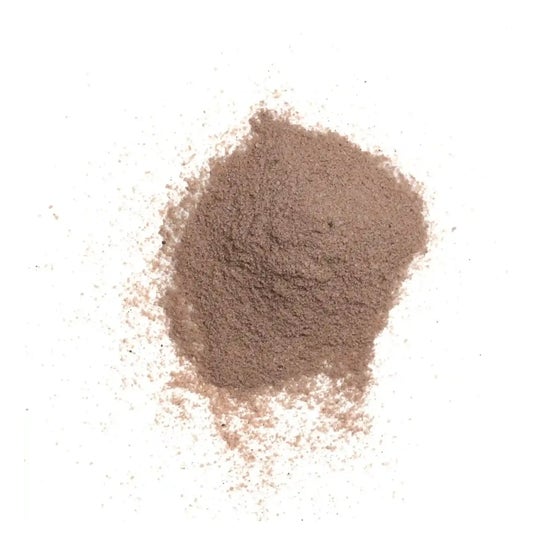 HSN Evomass 2.0 Ganador de Peso Chocolate y Avellanas 1kg