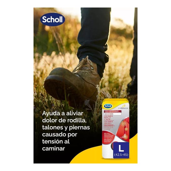 Modelos de uso diário Knee & Heel Scholl In- Modelos de uso diário Knee & Heel Scholl In-