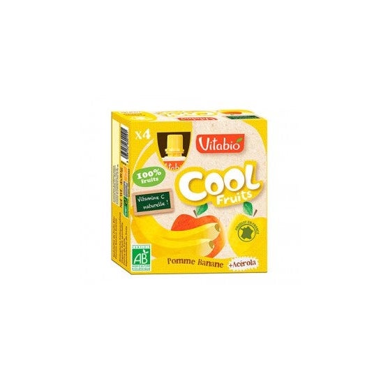 VitaBioBox com 4 Sacos de Fruta Orgânica com Maçã e Banana Cool Fruits 4x90 g