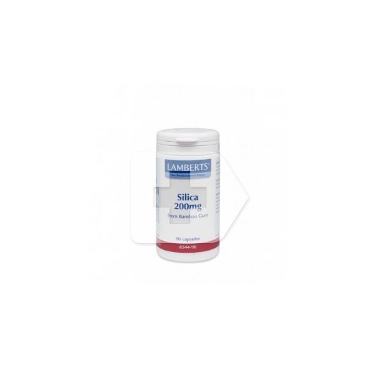 Lamberts ™ Silica 200Mg 90cáps