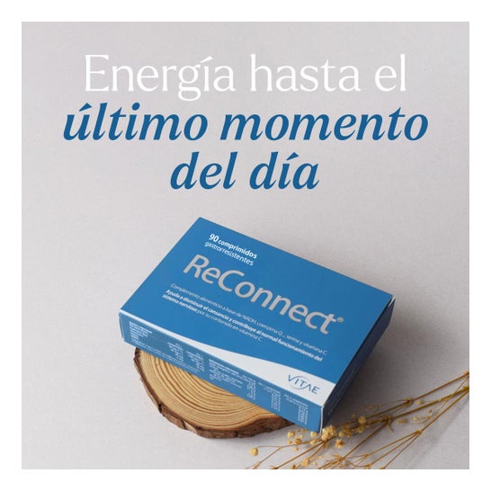 Vitae ReConnect 90 comp