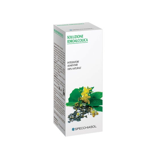 Damiana 29 Tintura Materna 50ml