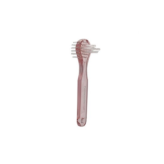 Escova Foradente 1Ê prótese dentária