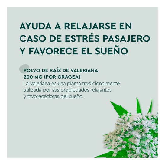 Kneipp Valeriana Classic 90 Idades