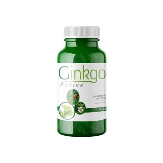 Saludalkalina Ginkgo Active 60caps