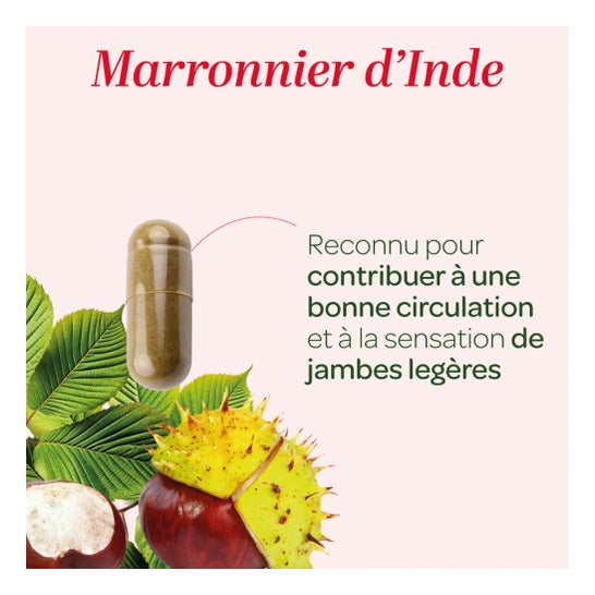 Superdiet Castanha da Índia Bio 120 Pérolas Superdiet Castanha da Índia Bio 120 Pérolas