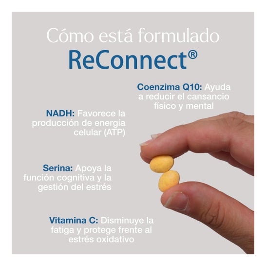 Vitae ReConnect® 15comp