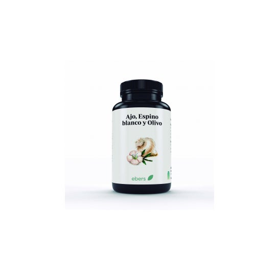 Ebers Espinheiro de Alho e Pérolas Olive 60