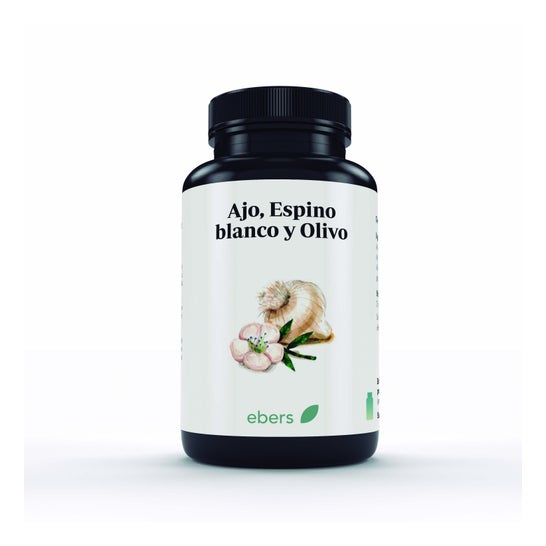 Ebers Espinheiro de Alho e Pérolas Olive 60
