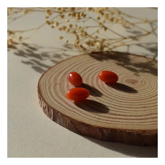 Vitae Oliovita Gastro 60caps Vitae Oliovita Gastro 60caps