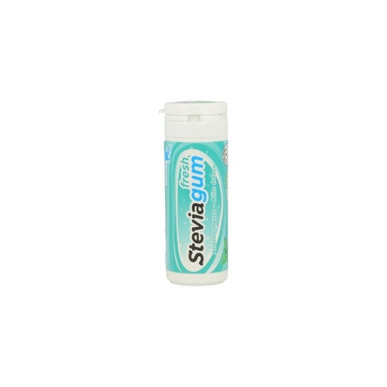 Stevia Gum Pastilha elástica 18 unidades