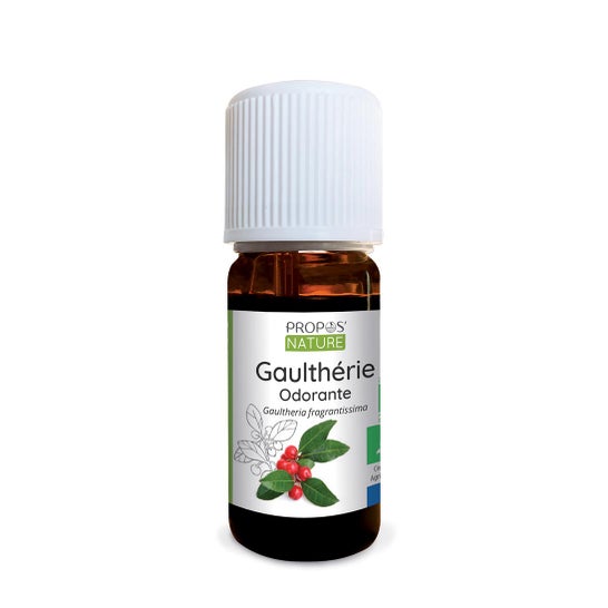 Proposta de Óleo Essencial Orgânico da Natureza Gaultheria Odorante 10ml