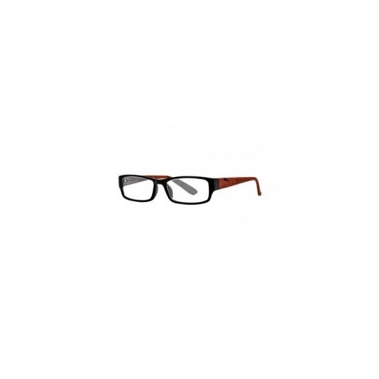 Nordic Vision Koping cor preto e marrom dioptria +2,50 1ud