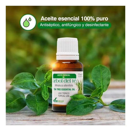 Aceite Esencial Arbol Del Te Soria Natural 15ml Aceite Esencial Arbol Del Te Soria Natural 15ml