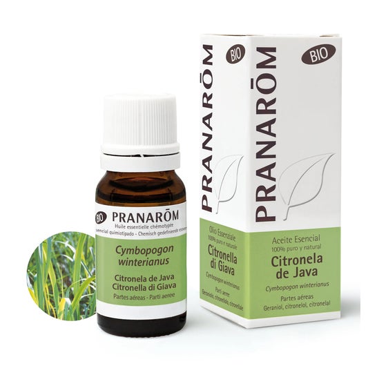 Pranarém Citronela De Java 10 Ml Bio