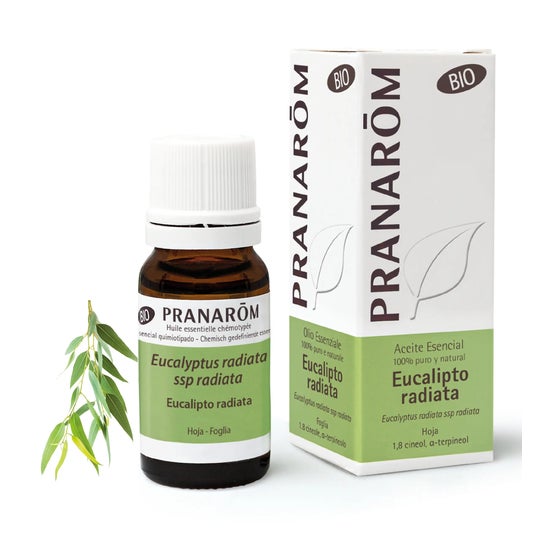 Óleo essencial de eucalipto radiata BIO 10ml