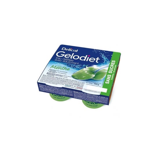 Gelodiet Delical Água S/S Ment 4X120
