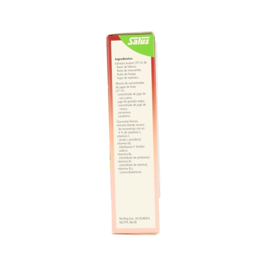 Floradix® Floravital® Ferro+Vitaminas 250ml