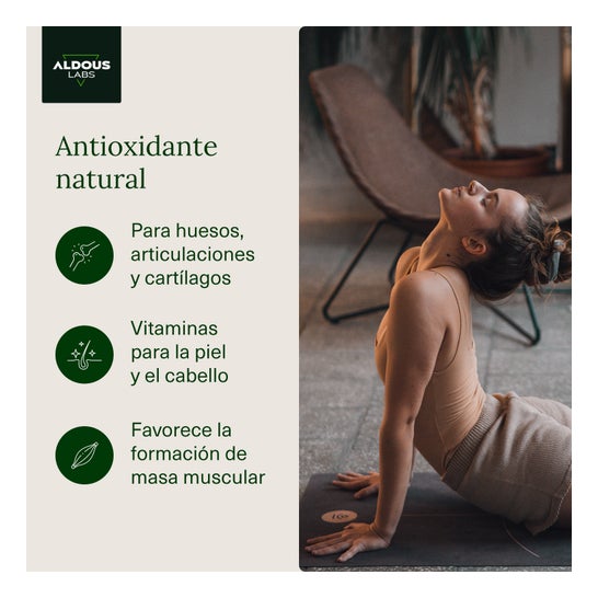 Aldous Labs Colágeno 120 cápsulas