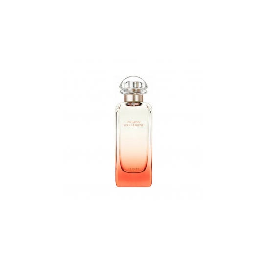 Hermes Paris Jardin Sur La Lagune Eau De Toilette 100ml Hermes Paris,