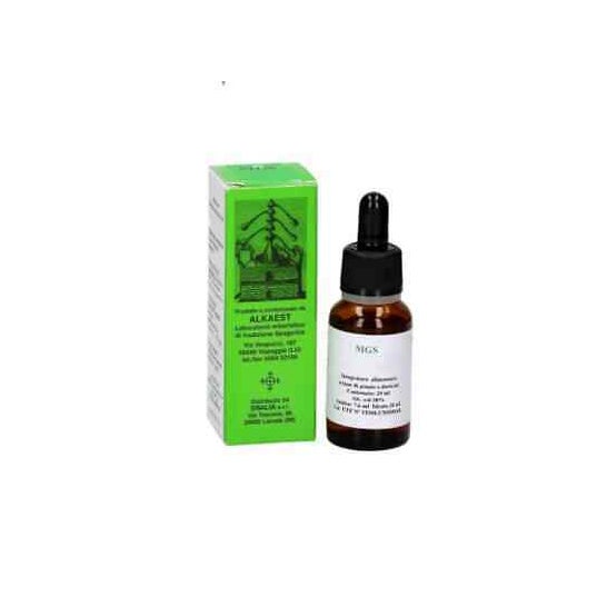 Alkaest Mgs18 Zarzamo Glicerina Macerada 20ml