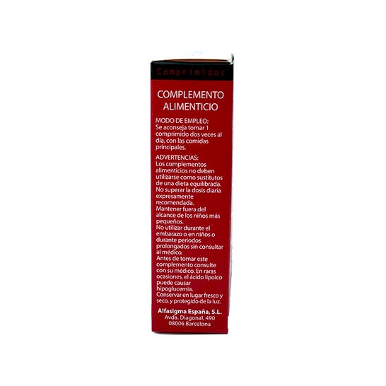 Chelidon 60 comp