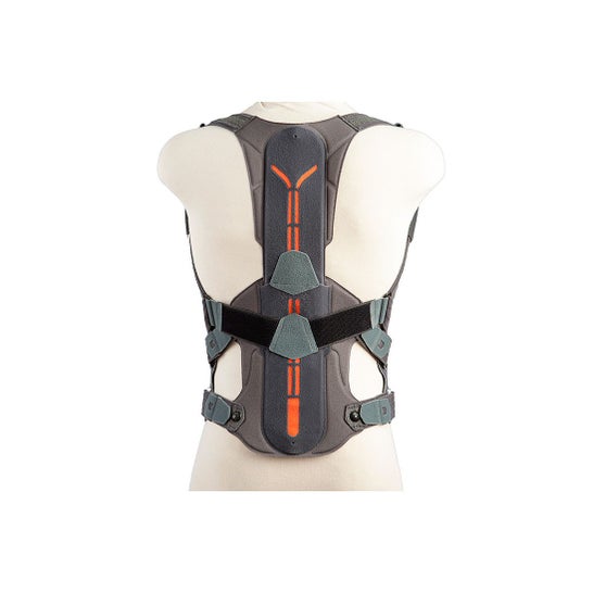 Orliman Lumbitron Back Support Lumbitron LT-330 T6 1ud