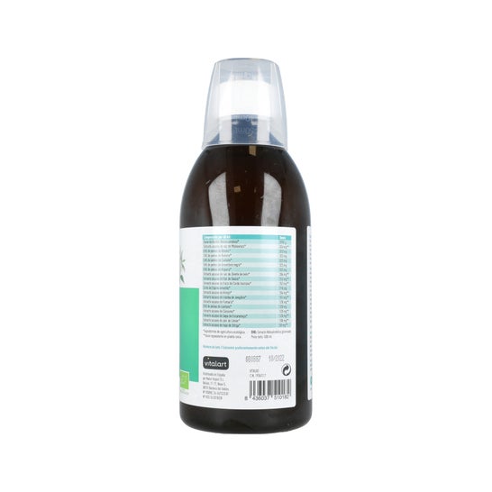 Vitalart Vitalart Bio-Detox Purificante Vitalart 500ml